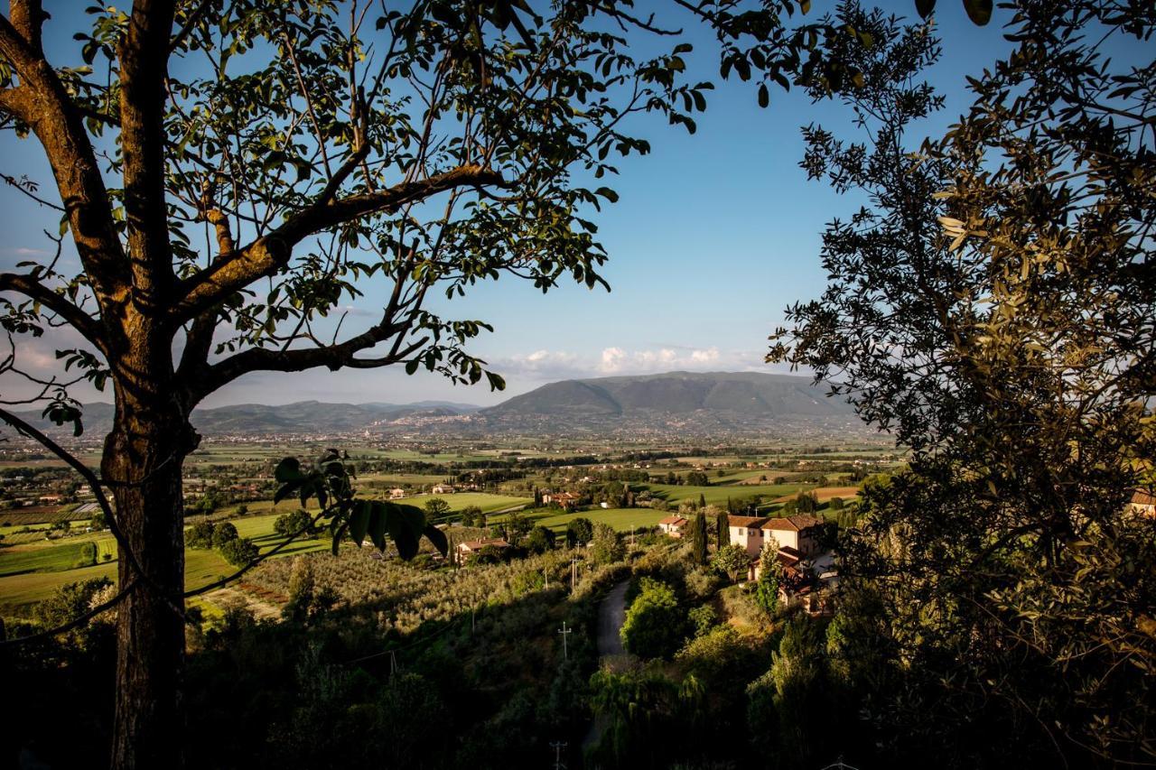 Il Poggio Degli Olivi Bettona Exterior foto