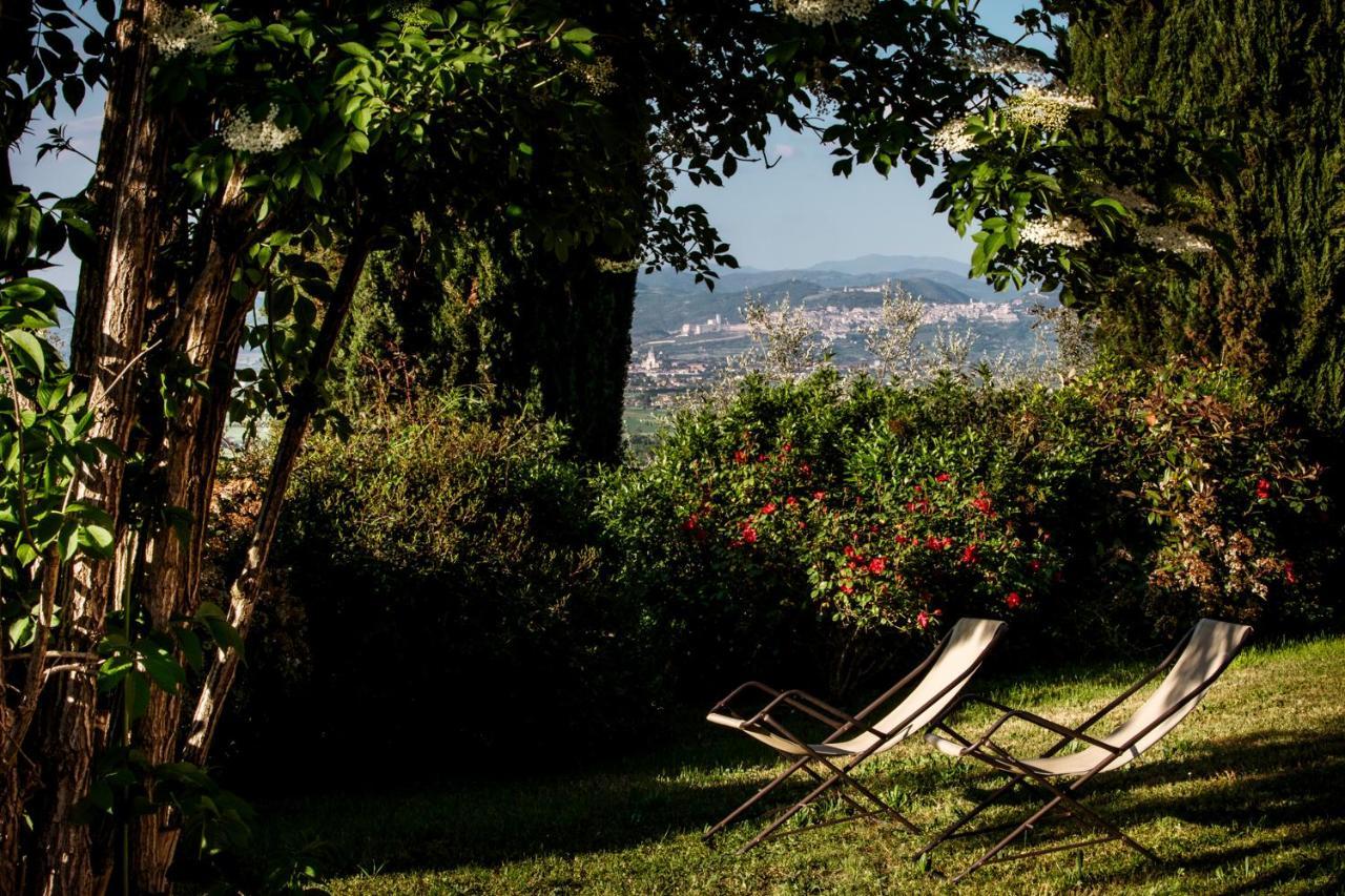Il Poggio Degli Olivi Bettona Exterior foto