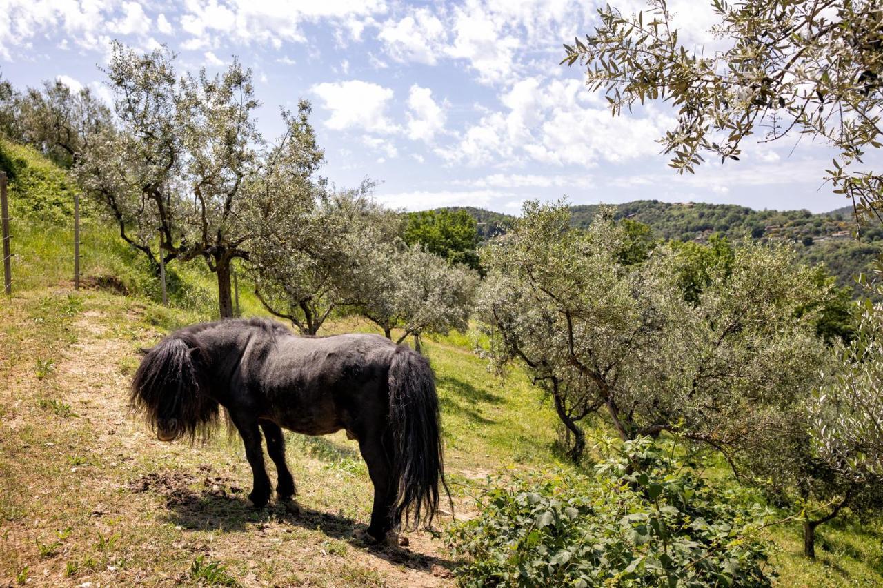 Il Poggio Degli Olivi Bettona Exterior foto